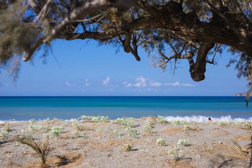 Alianthos Estate Resort - ex Alianthos Garden