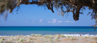 Alianthos Estate Resort - ex Alianthos Garden