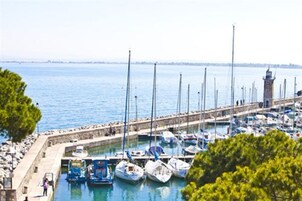 Vista desde la propiedad