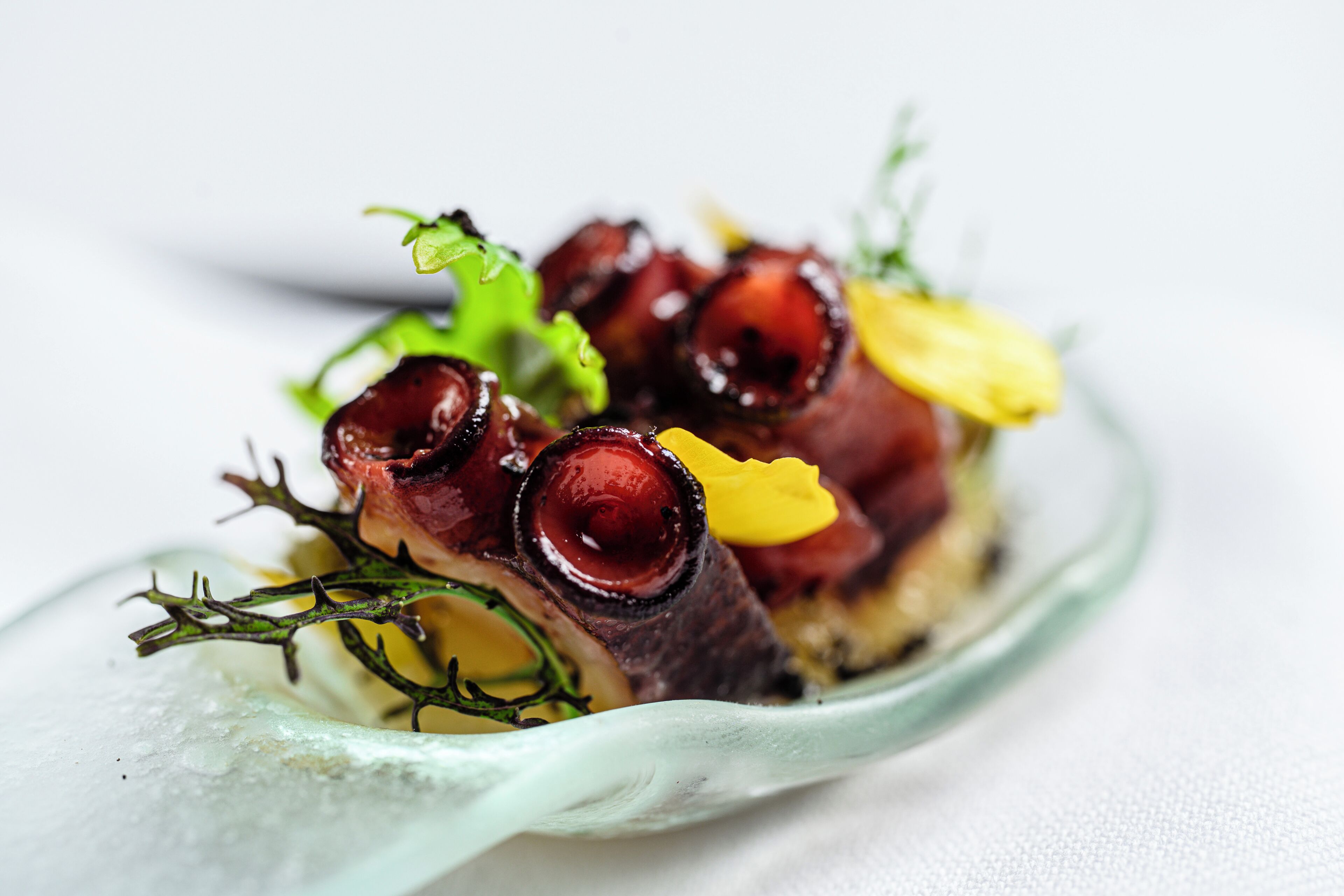En tallerken med en anretning bestående af mørkt kød, muligvis bacon, og grønne og gule pynt.