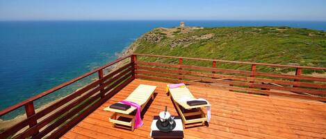 テラス / パティオ