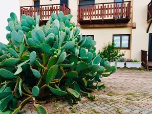 Vista al jardín