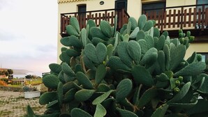 Een grote cactus voor een gebouw met een balkon.