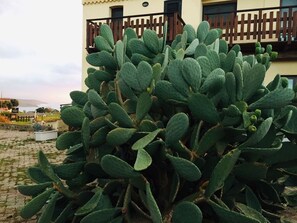 Chambre Standard double, côté jardin | Vue sur le jardin