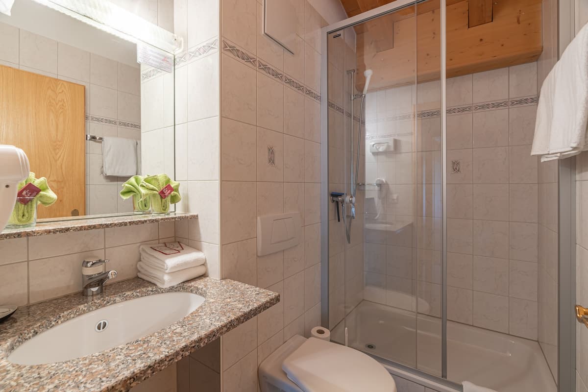 double room | bathroom shower