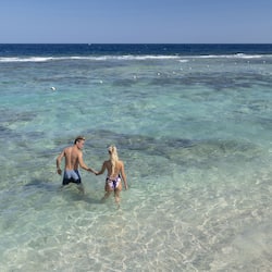 Private beach, sun loungers, beach umbrellas, beach towels