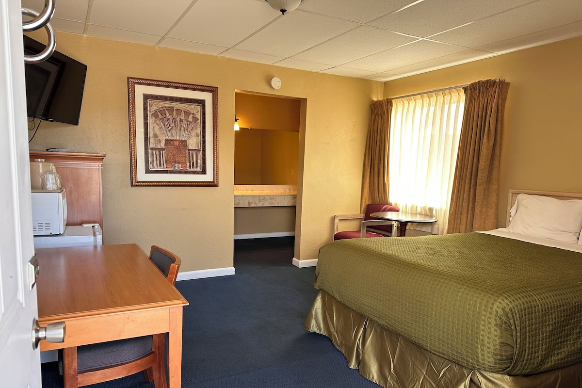 Una habitación de hotel con una cama, un escritorio, una silla, un televisor y un cuadro en la pared.