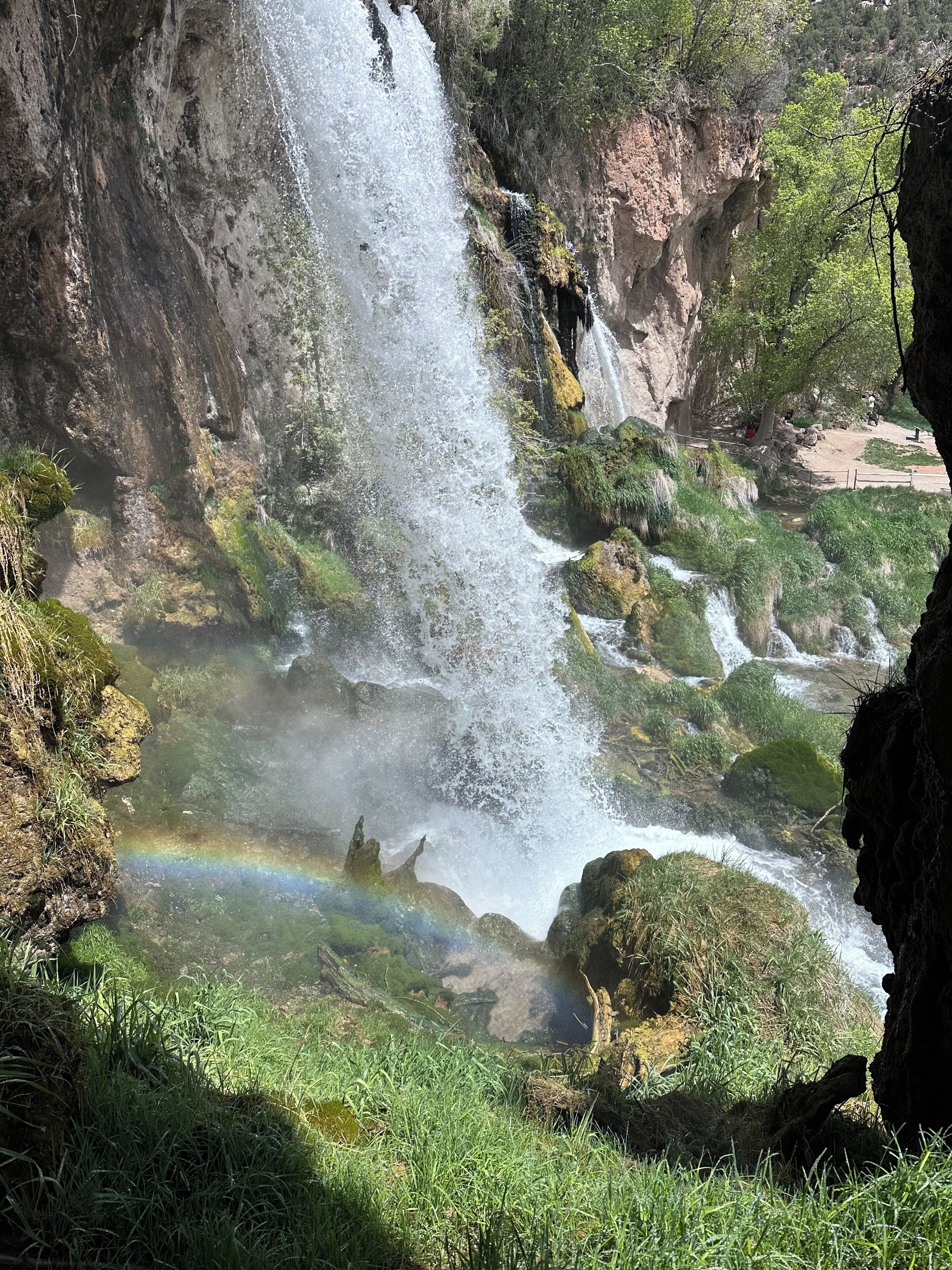 Una cascata che si getta da una scogliera rocciosa, circondata da vegetazione lussureggiante.