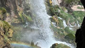 Una cascata che si getta da una scogliera rocciosa, circondata da vegetazione lussureggiante.