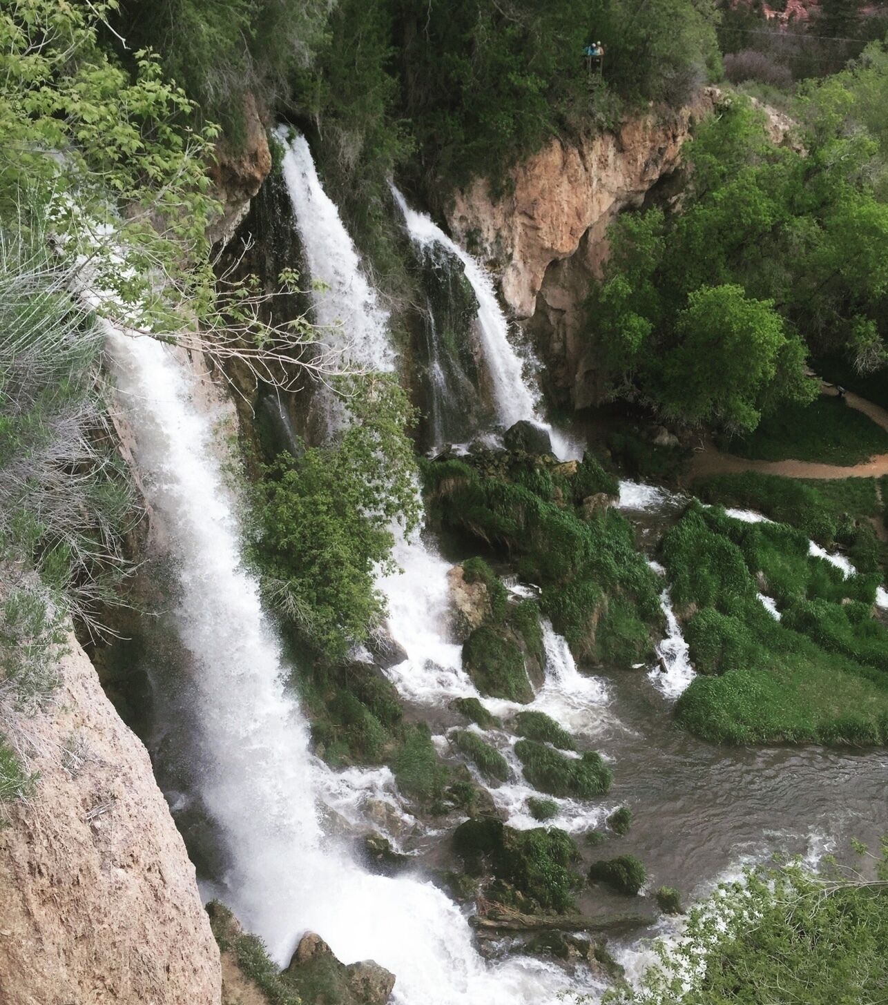 A waterfall cascading down a rocky cliff surrounded by lush greenery.