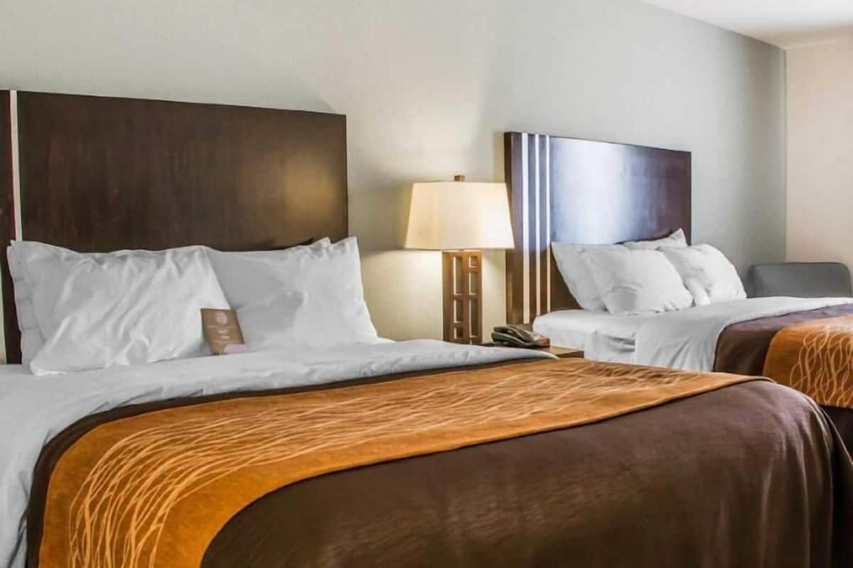 Desk, iron/ironing board, free cots/infant beds, free WiFi