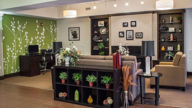 Een moderne woonkamer met een bank, een salontafel en een boekenkast. Er staan potplanten en decoratieve objecten op de planken.