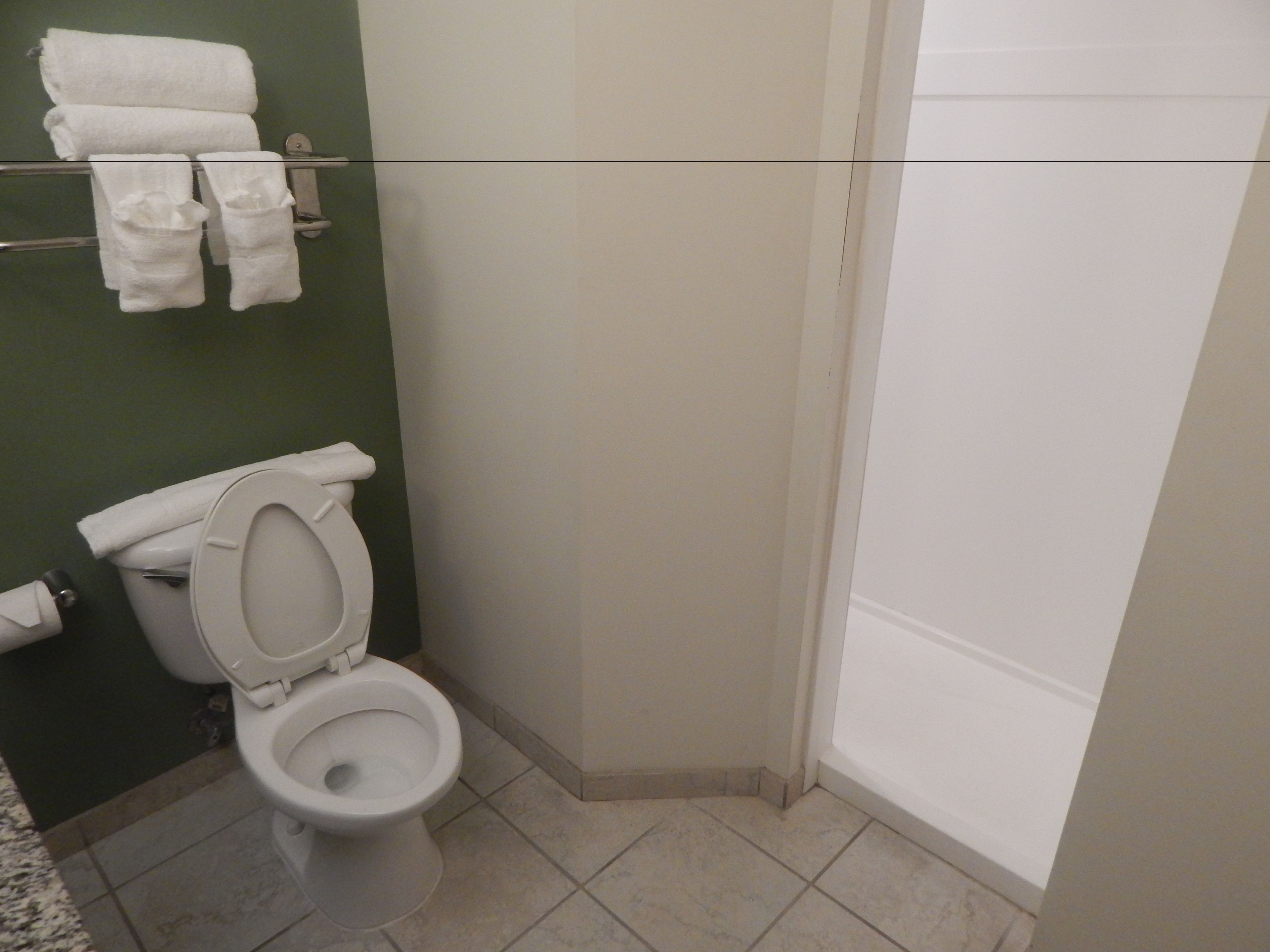 Un baño con inodoro, ducha y toallero con toallas.