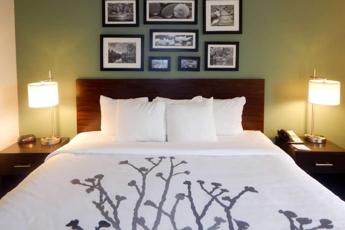 A hotel room with a bed, two bedside lamps, a nightstand with a phone, and framed pictures on the wall.