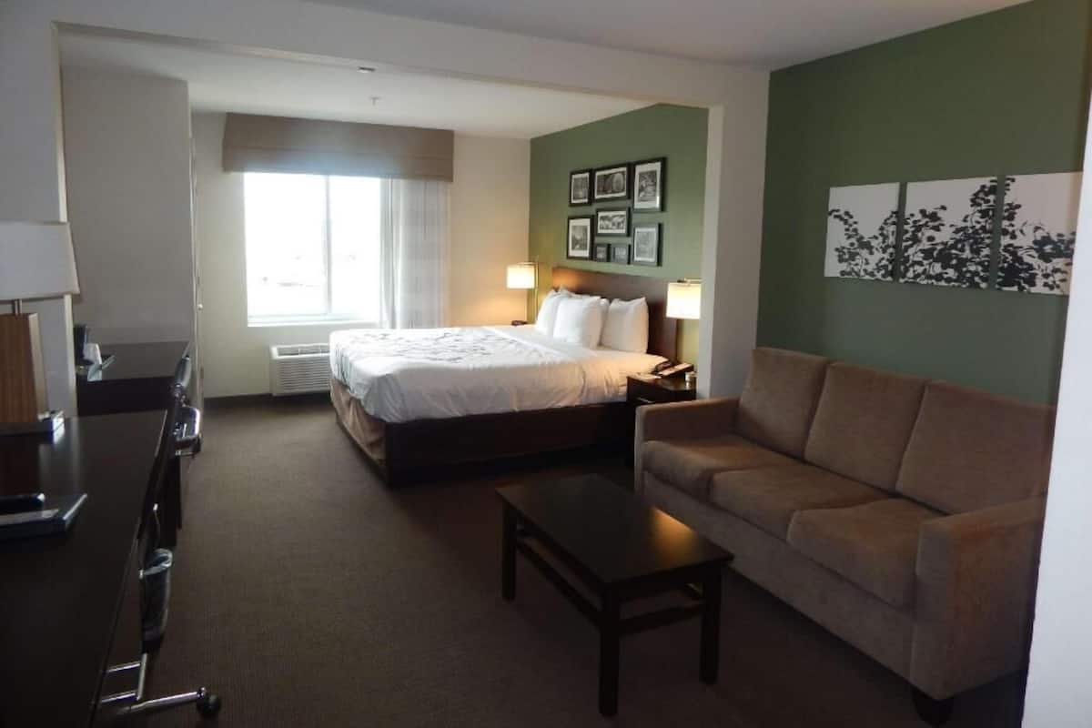 A hotel room with a bed, a sofa, a desk, and a chair.