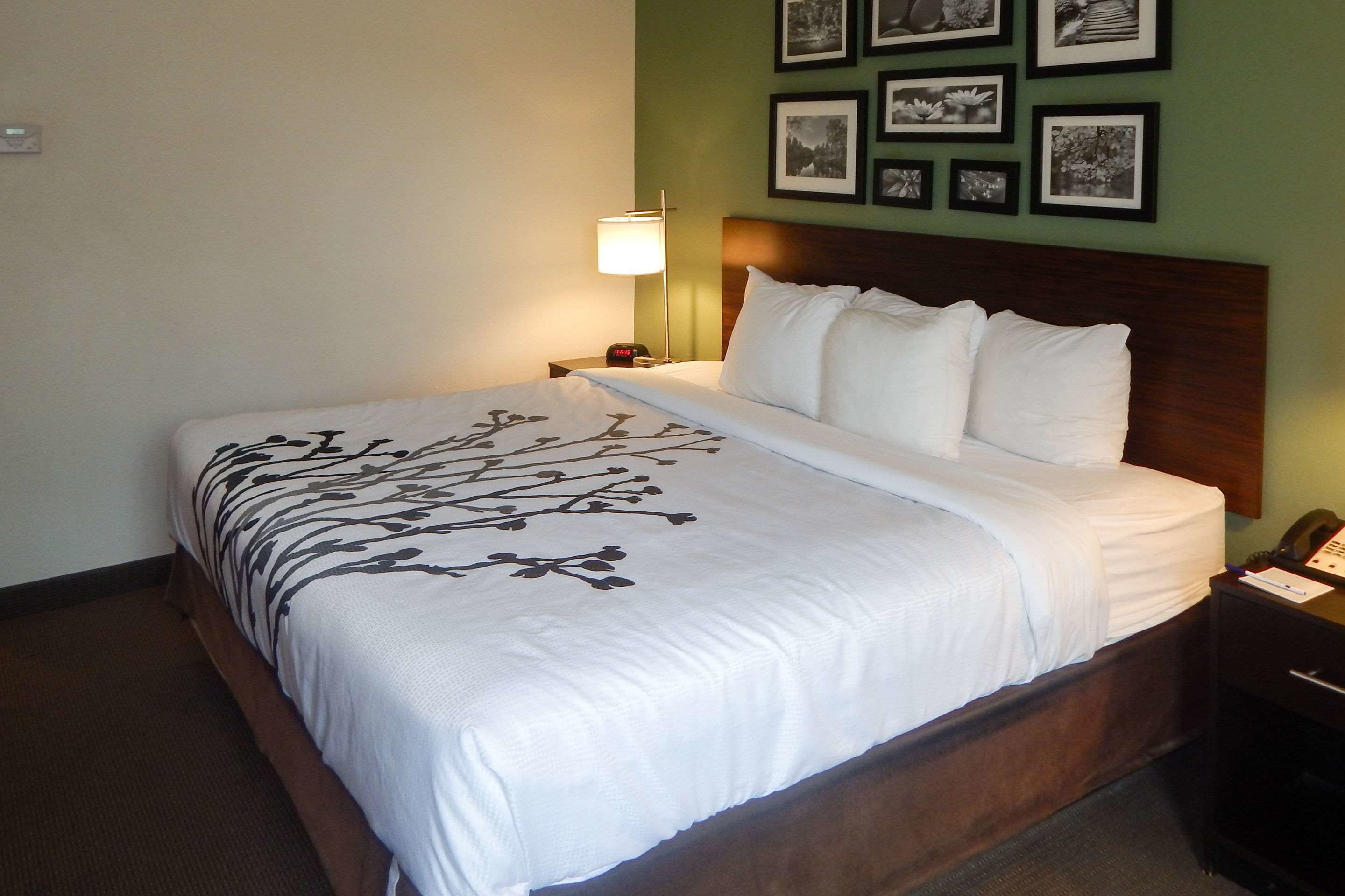 Een hotelkamer met een bed, nachtkastje, lamp en ingelijste foto's aan de muur.
