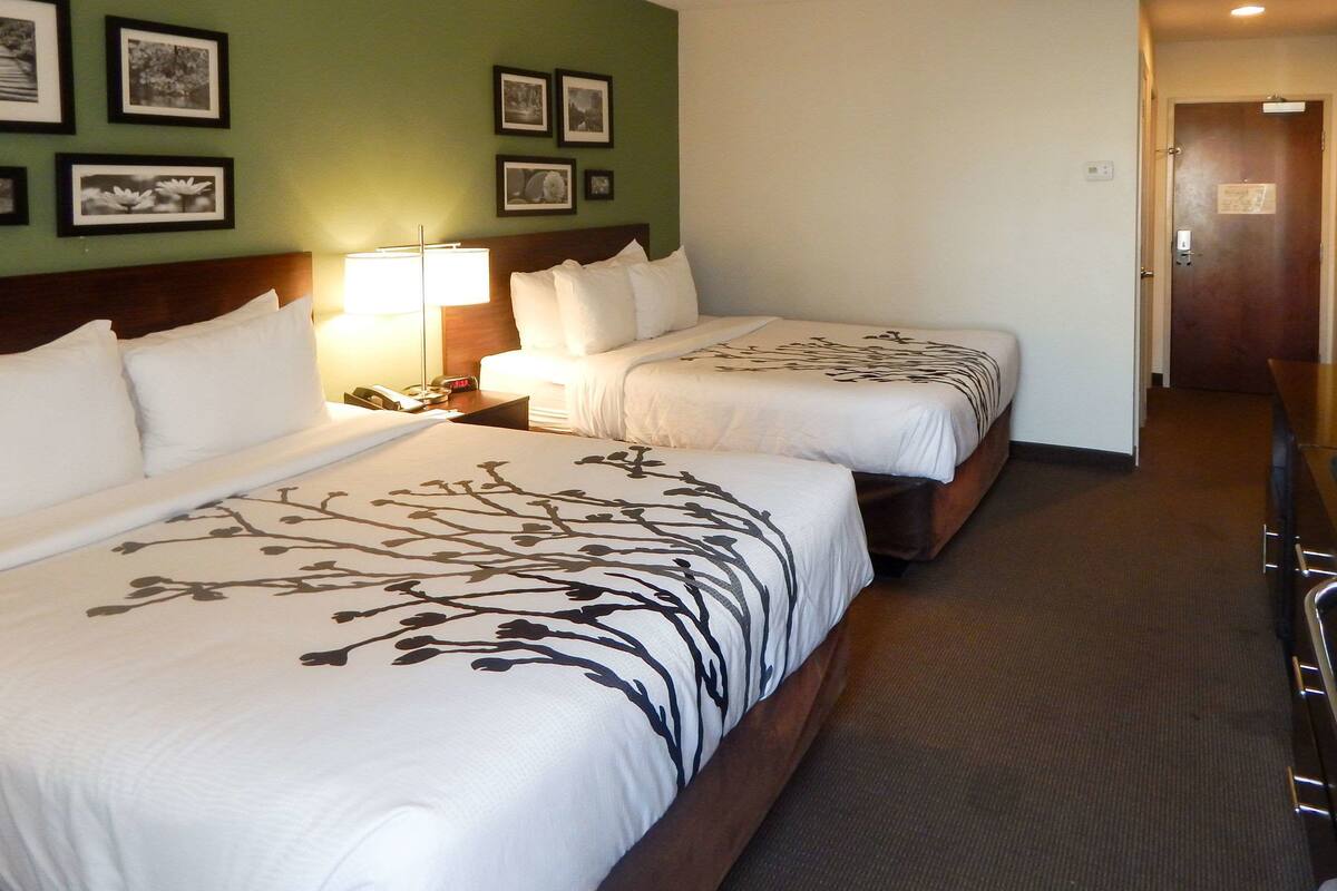 A hotel room with two beds, a nightstand with a lamp, and framed pictures on the wall.