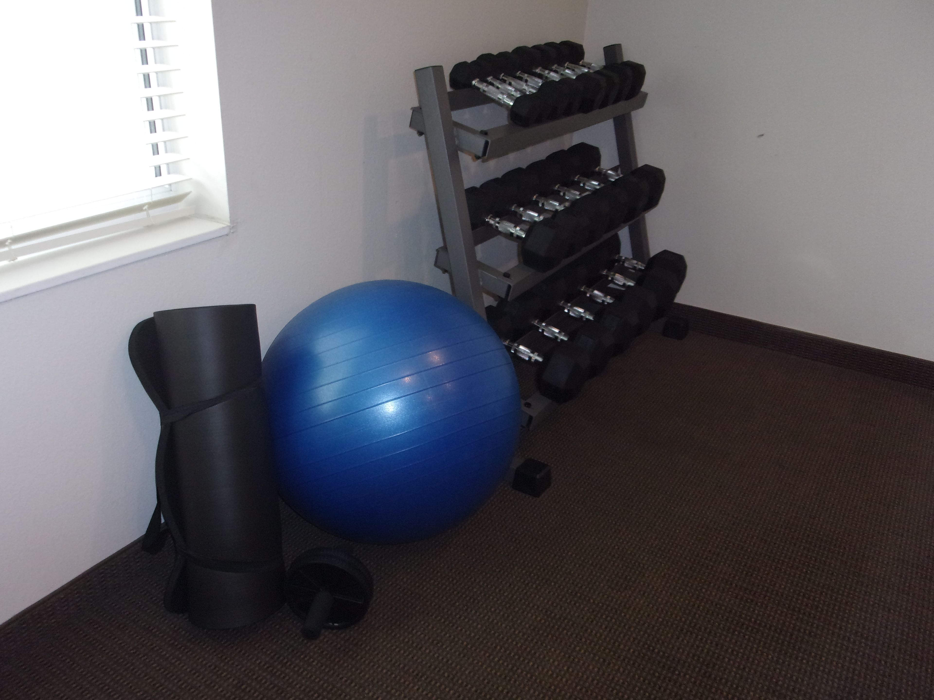 A room with a blue exercise ball, a black exercise mat, and a rack of dumbbells.
