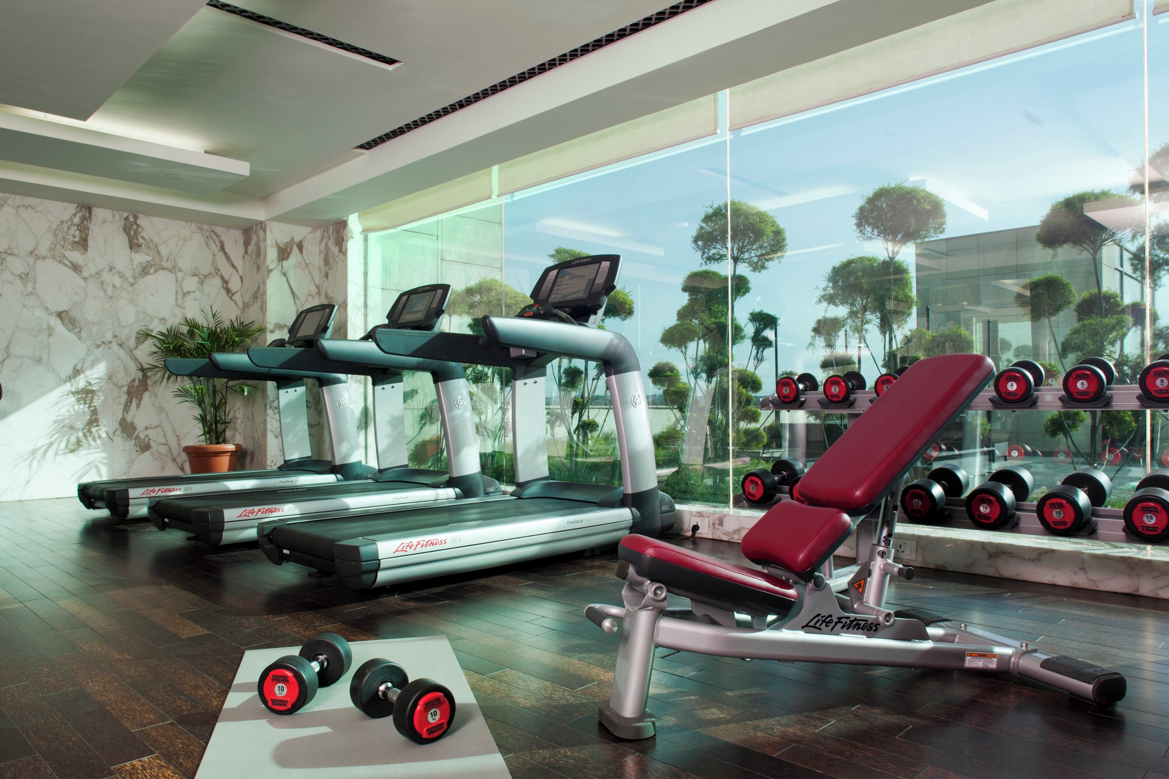 A gym with treadmills, dumbbells, and a bench press.