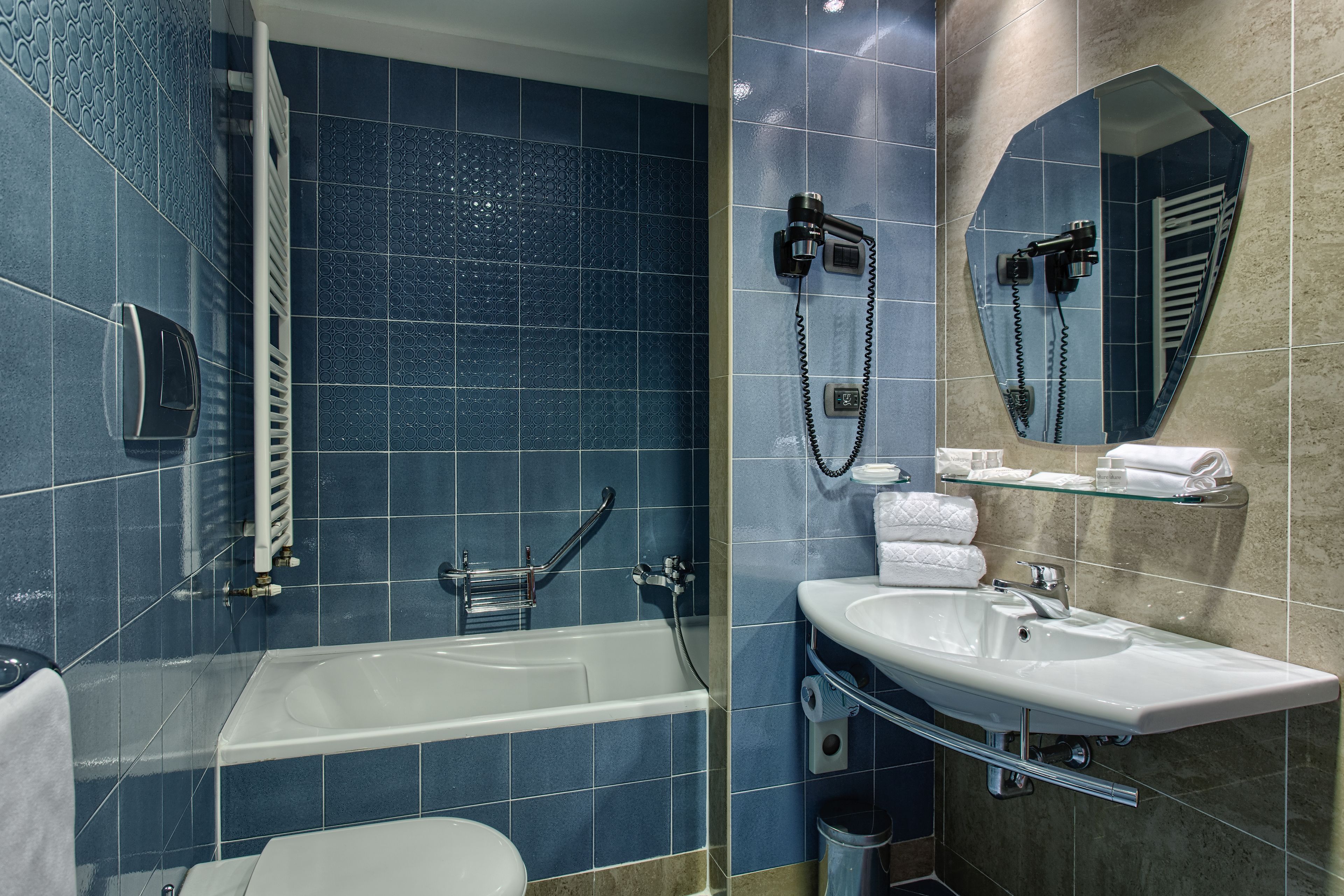 combined shower/bathtub, free toiletries, hair dryer, bidet