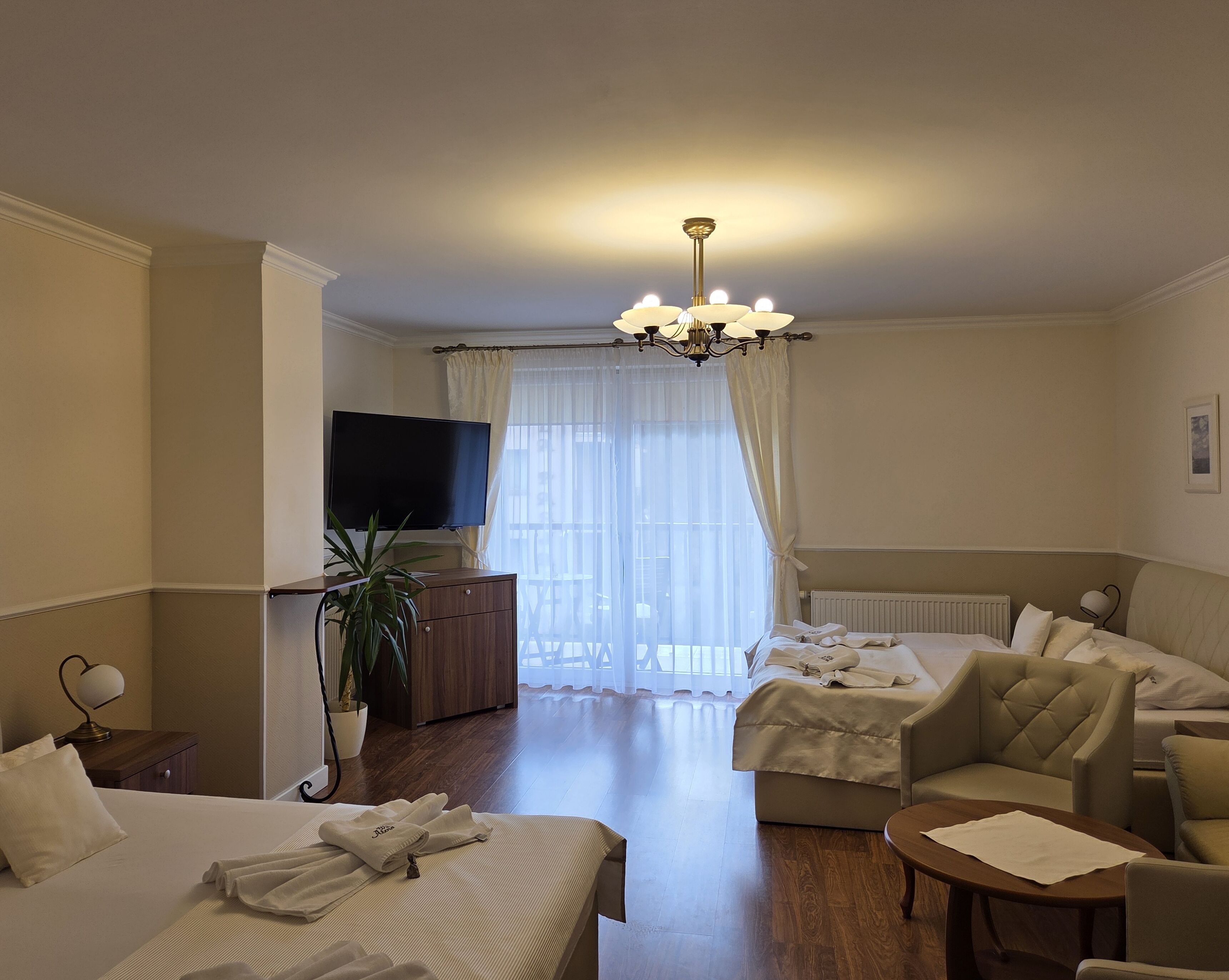 A hotel room with a bed, a sofa, a TV, a plant, and a window with curtains.