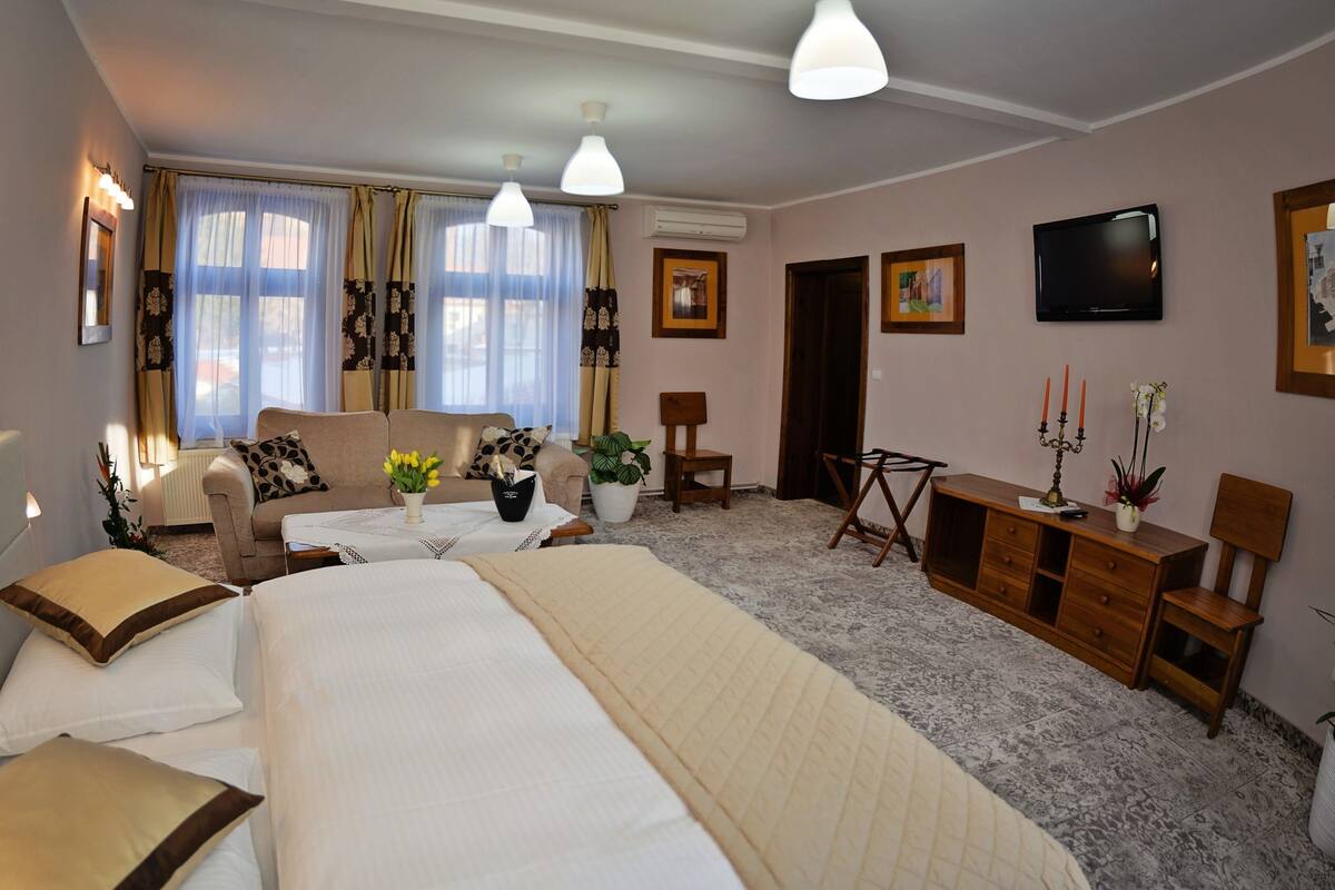 A hotel room with a large bed, a sofa, a small table with a plant, a TV, and a wooden cabinet.