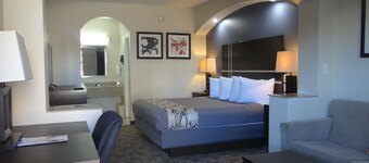 Regency Inn & Suites - Baytown