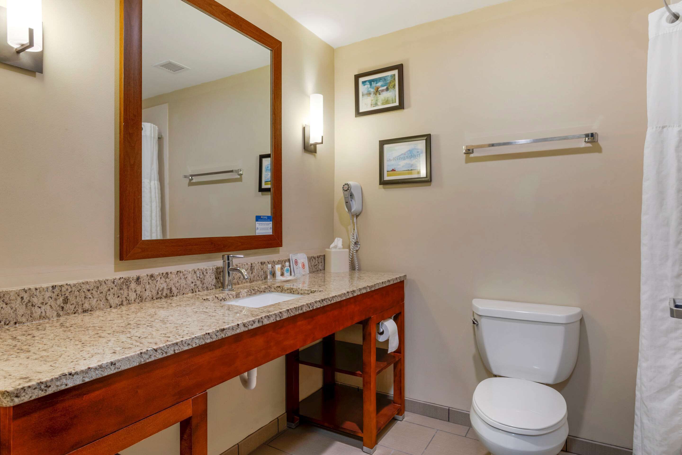 A bathroom with a granite countertop sink, a wooden vanity, a white toilet, and a shower curtain.