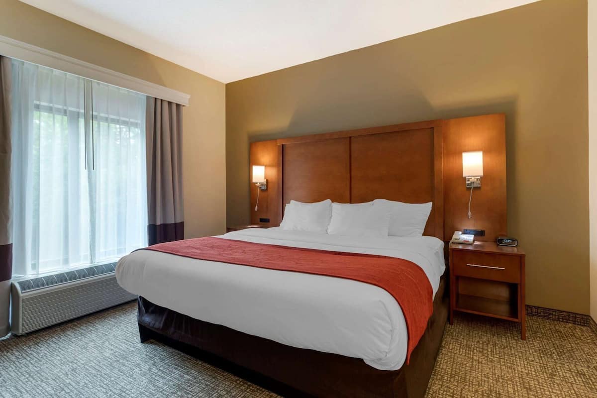 Une chambre d’hôtel avec un grand lit, une table de chevet avec une lampe, un radiateur et une fenêtre avec des rideaux.
