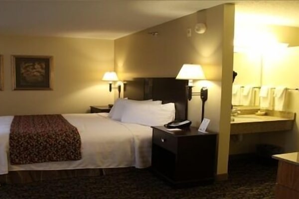 Basic Studio, 1 King Bed | Desk, free WiFi, wheelchair access