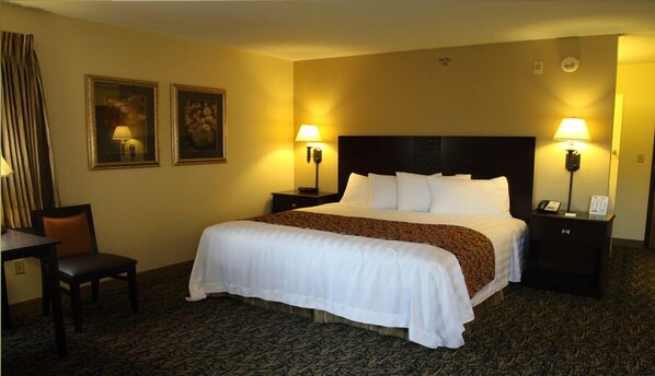 Suite | Desk, free WiFi, wheelchair access