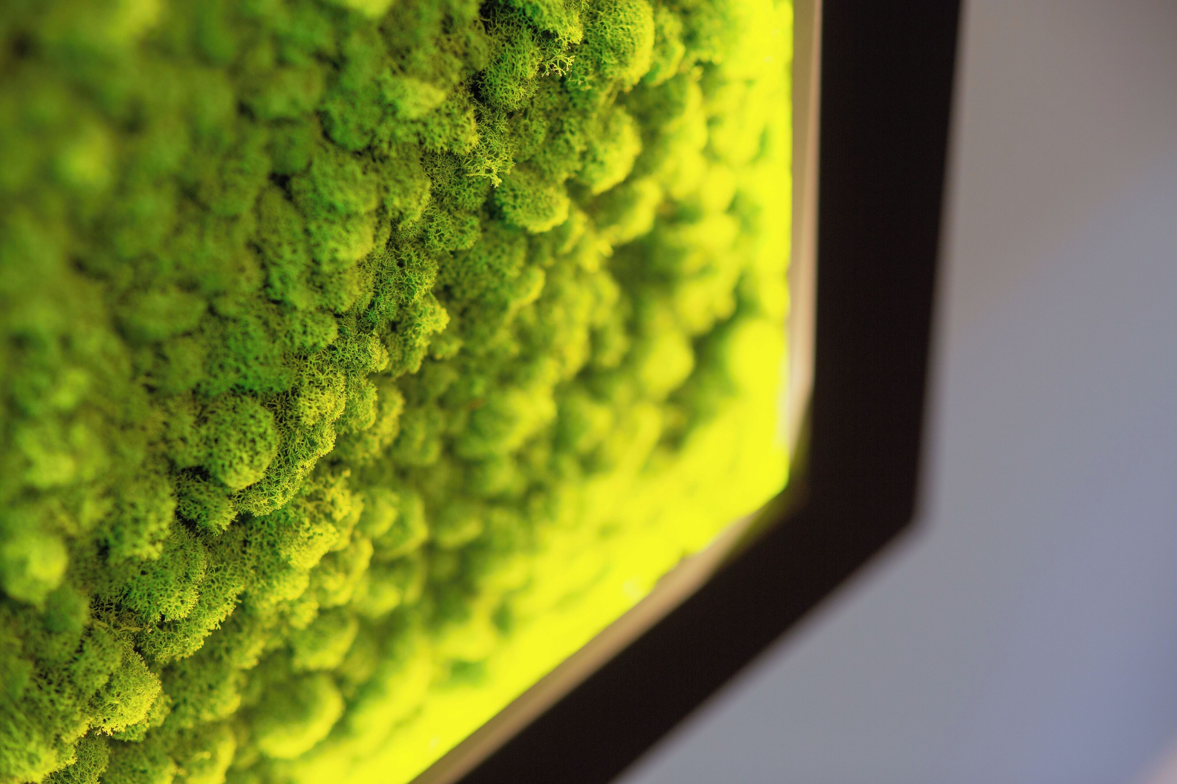 A close-up of a textured surface with a pattern of raised, rounded shapes.
