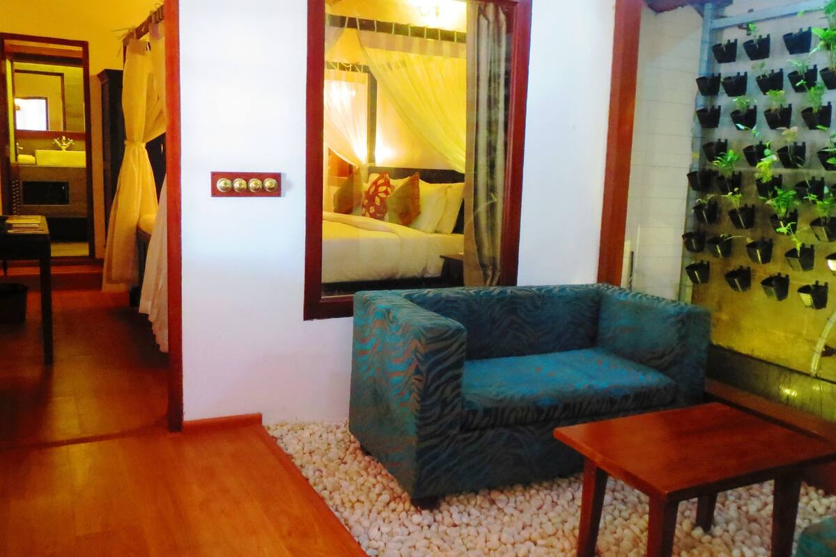 Una habitación con un sofá azul, una pequeña mesa de madera, un estante para plantas fijado a la pared y un espejo que refleja una cama con cortinas amarillas.
