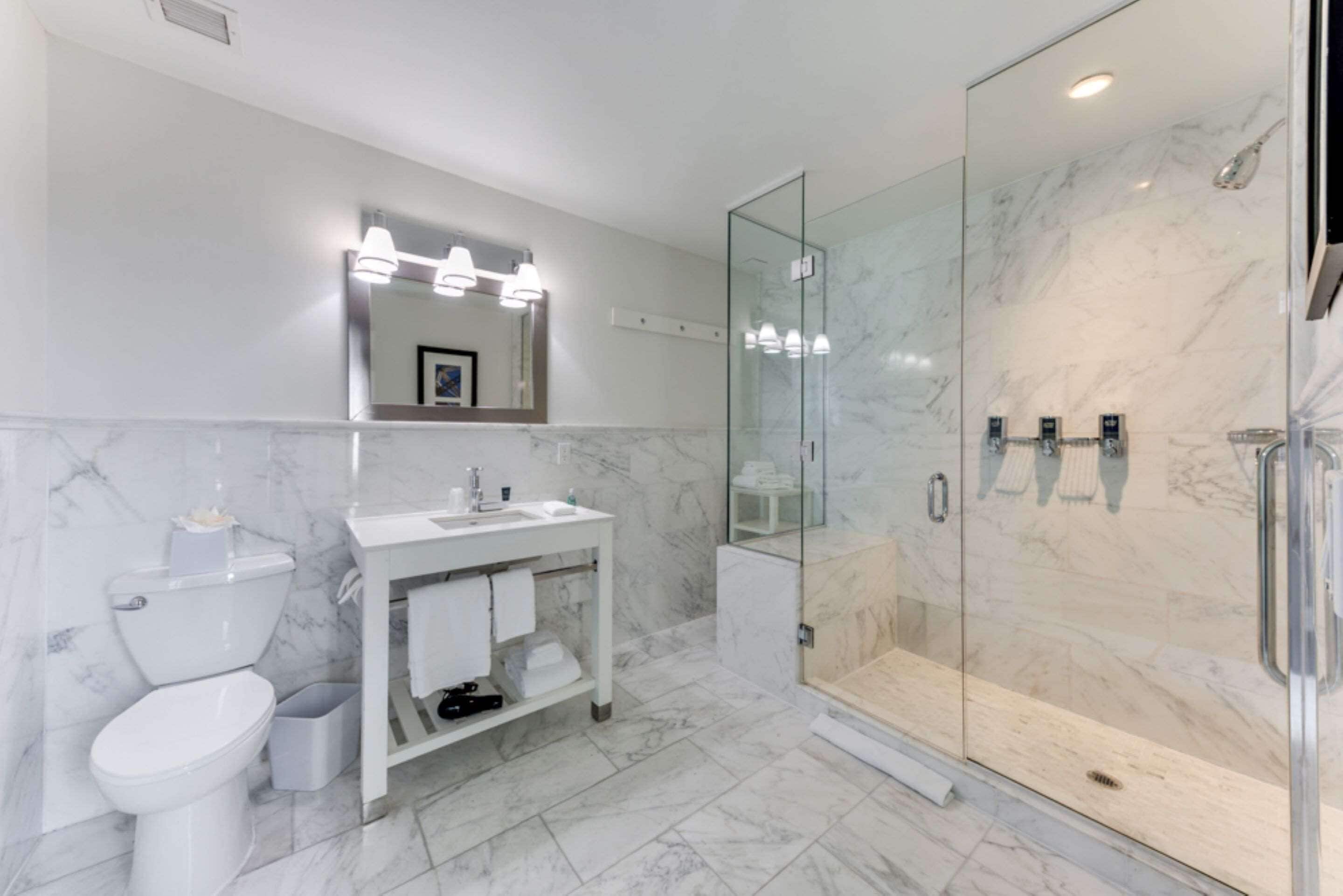 executive suite, 1 king bed, refrigerator & microwave, city view (walk-in shower;with sofabed) | bathroom | free toiletries, hair dryer, towels