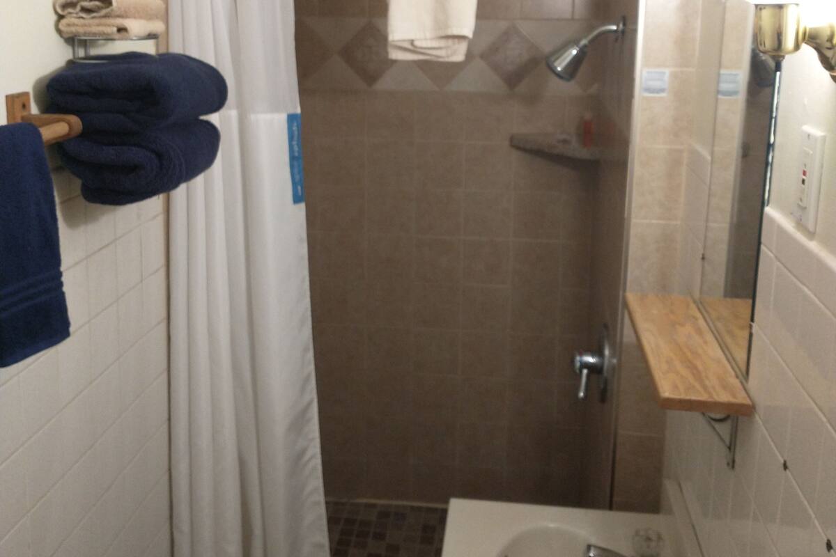Free toiletries, hair dryer, towels