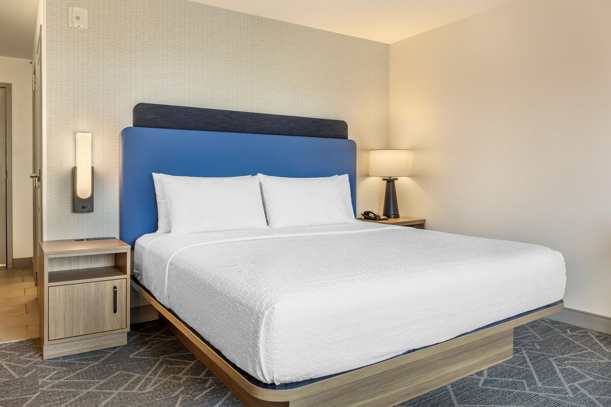 Room, 1 King Bed, Non Smoking | Desk, laptop workspace, blackout drapes, iron/ironing board
