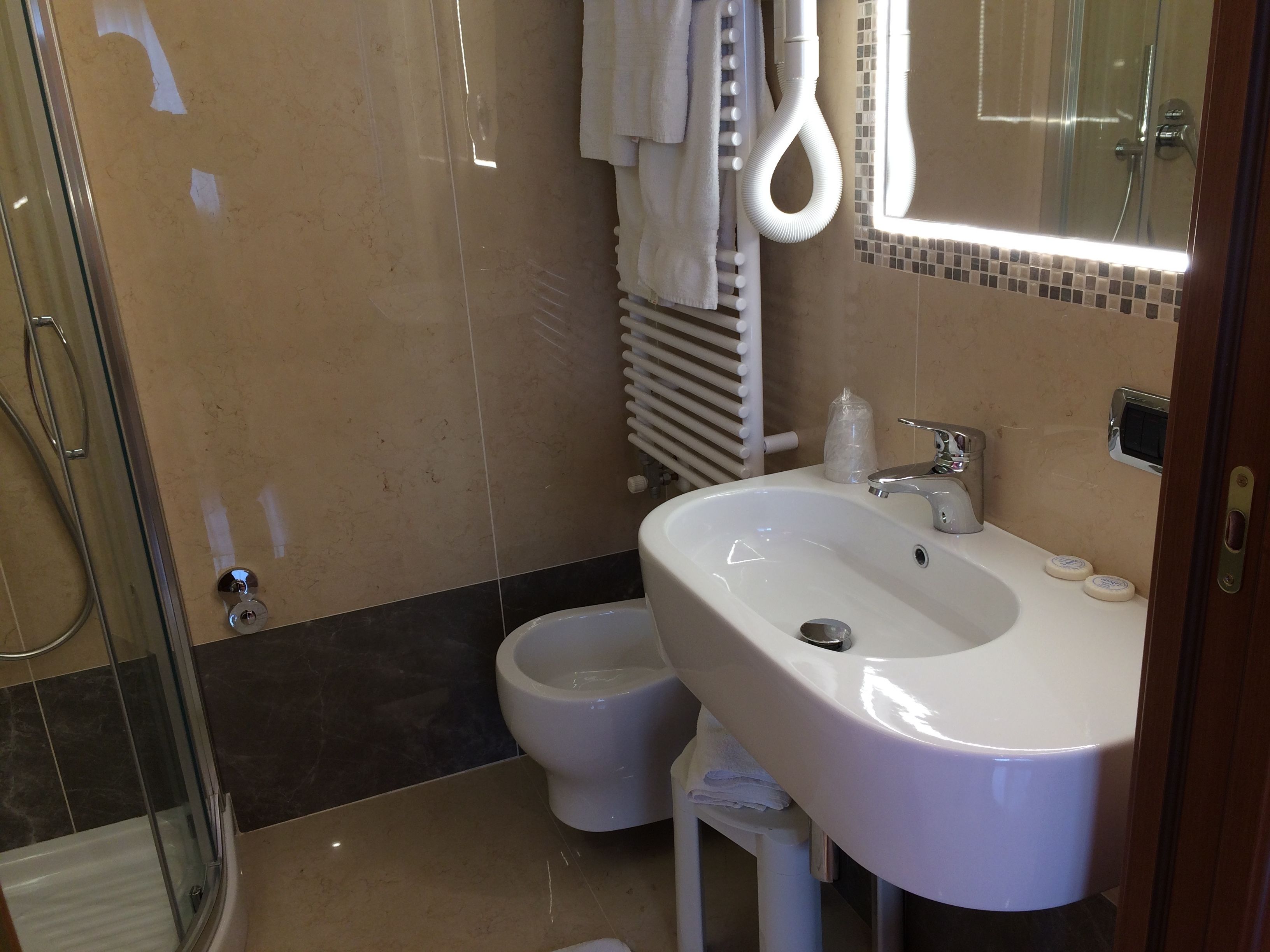 shower, free toiletries, hair dryer, bidet