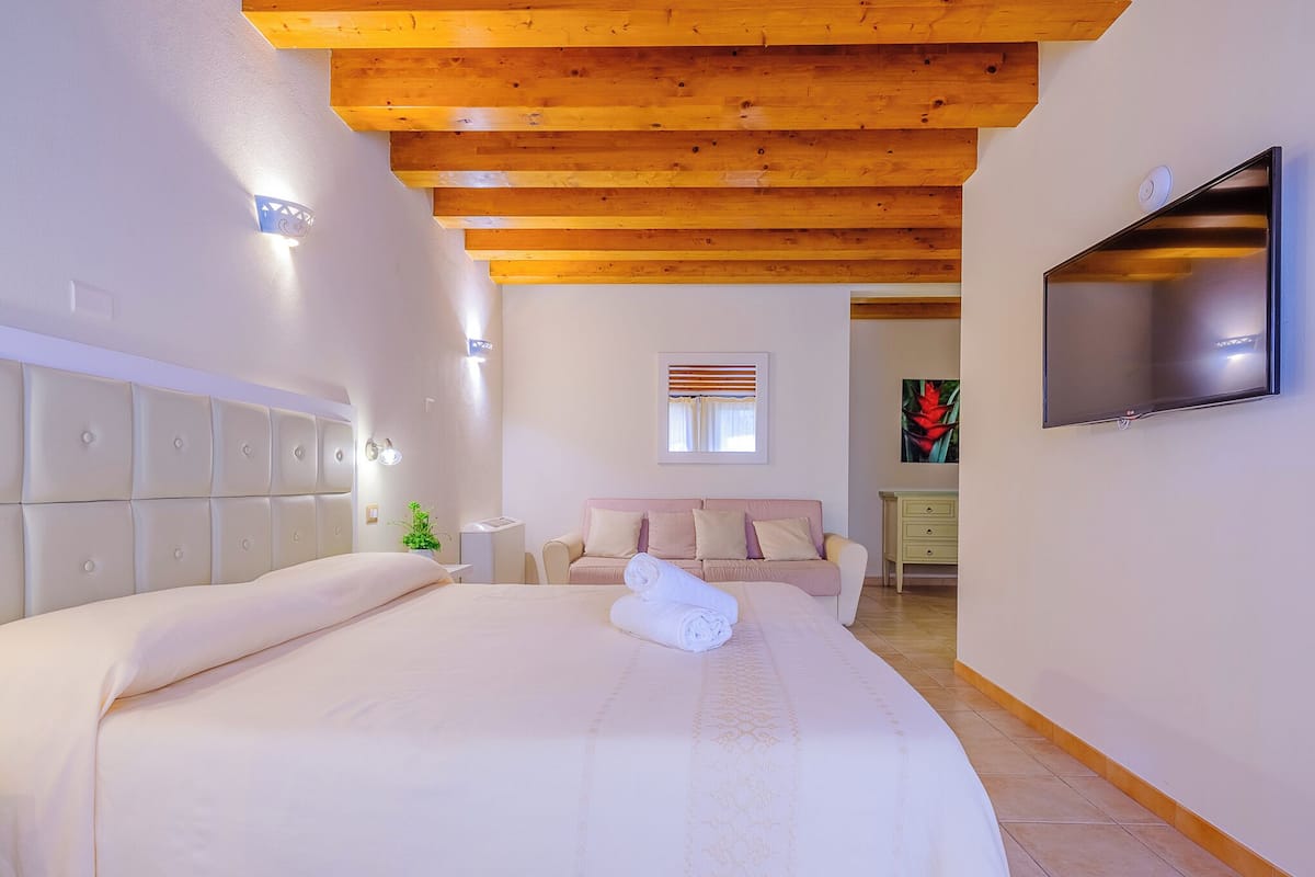 Una camera da letto con un letto grande, un soffitto in legno, una TV e una finestra con persiane.