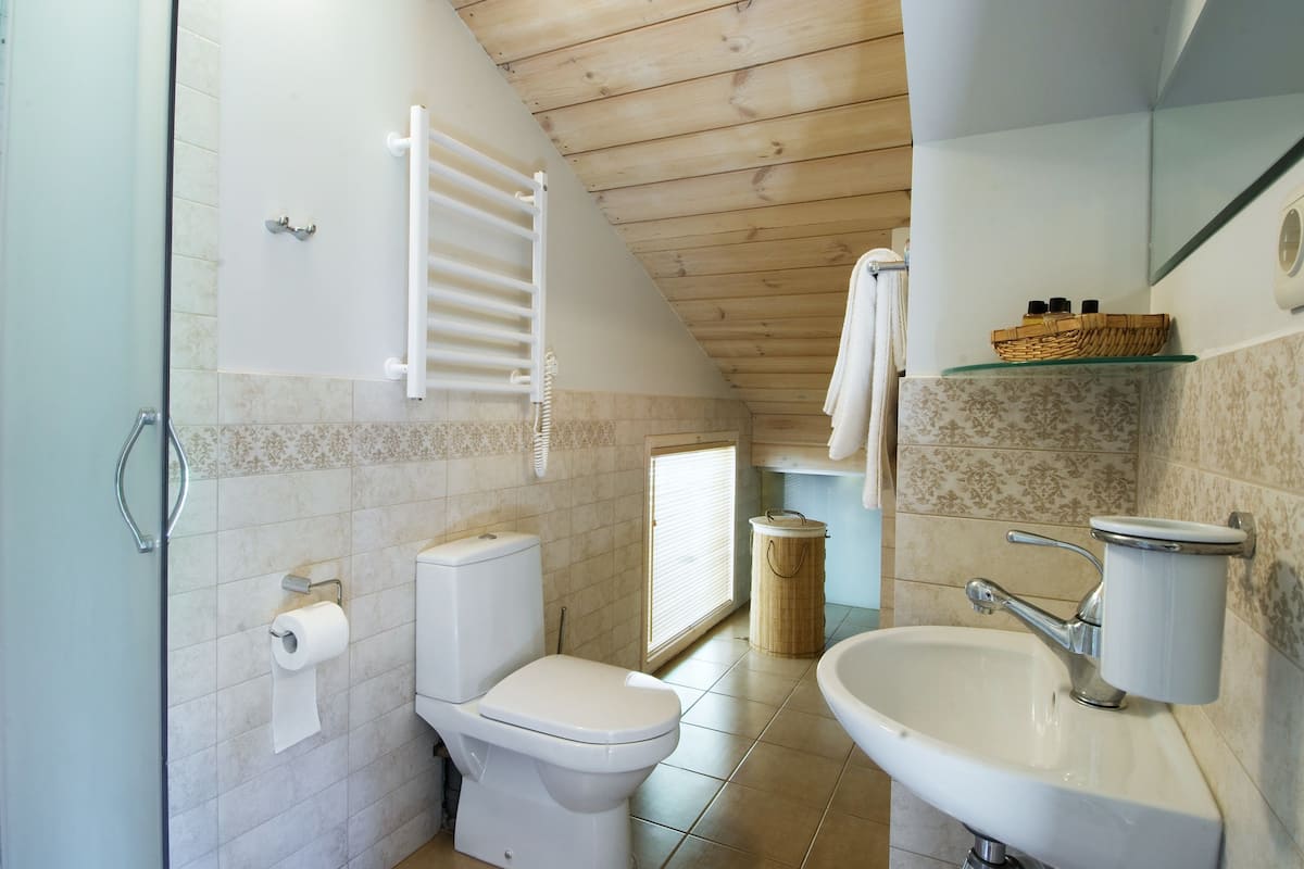 basic triple room, 1 bedroom, private bathroom, mountainside | bathroom | shower, free toiletries, towels