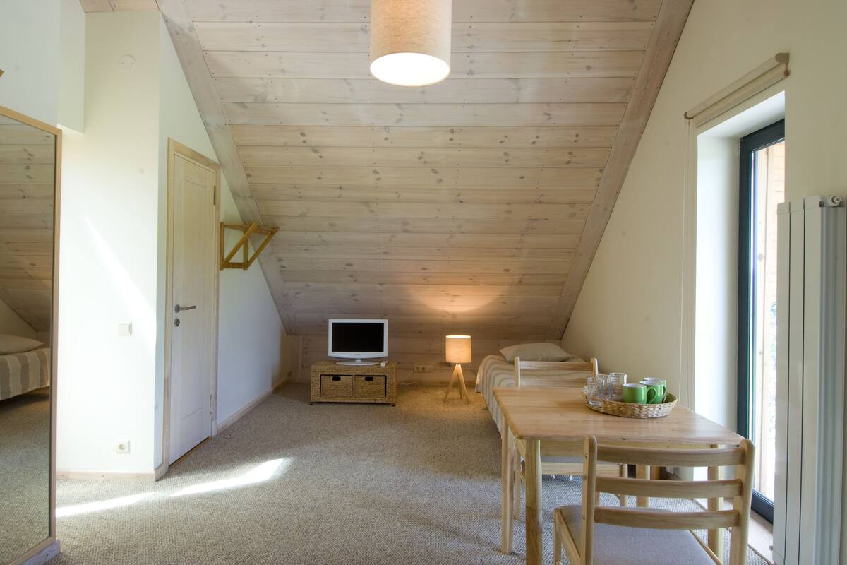 Un dormitorio acogedor en el ático con techo inclinado, un televisor sobre un soporte de madera, una mesita de noche con lámpara y una ventana con vistas.
