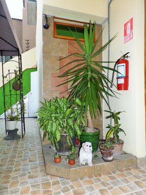 Interior - B&B Miraflores Wasi (Lima)