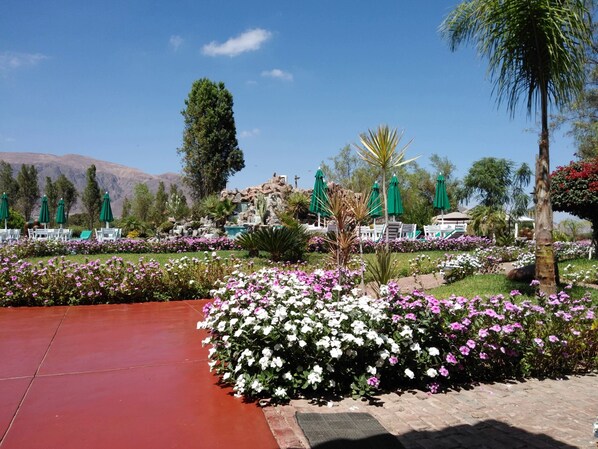 A landscaped garden with a pool, outdoor seating, and a view of mountains. - Casa Hacienda Nasca Oasis (Nazca)