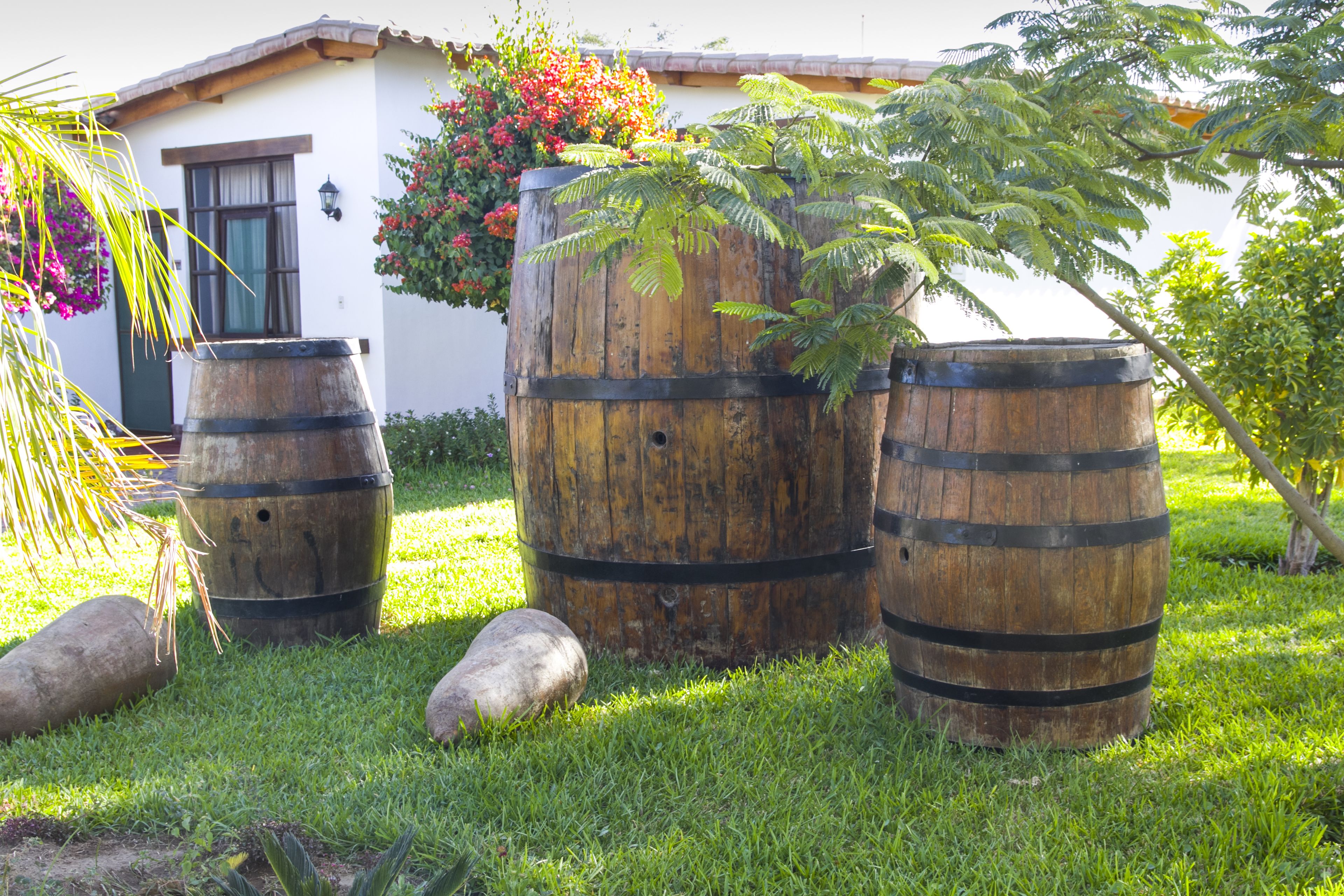 Three wooden barrels in a grassy area with a building in the background.