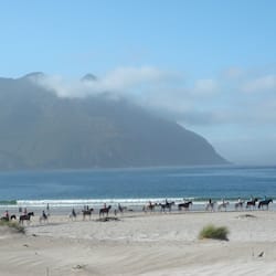 Paseos a caballo