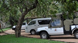A white SUV parked in a grassy area with trees in the background. - Matumi Game Lodge (Hoedspruit)