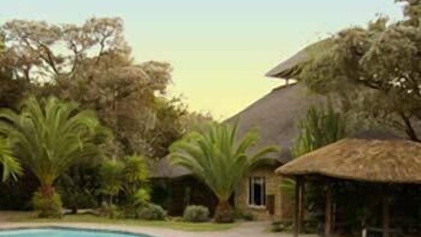 A swimming pool with a thatched-roof structure nearby. - Matumi Game Lodge (Hoedspruit)