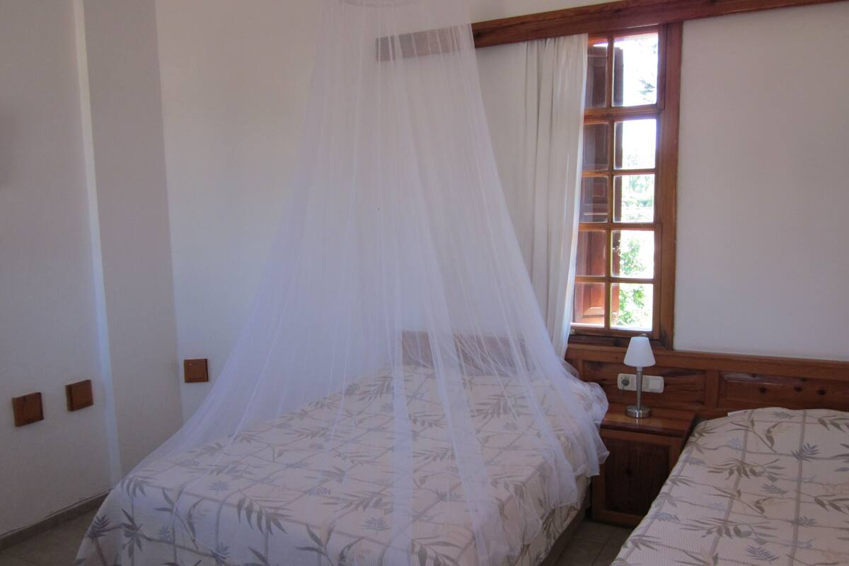 A bedroom with two beds, a window with a view, and a bedside table with a lamp.