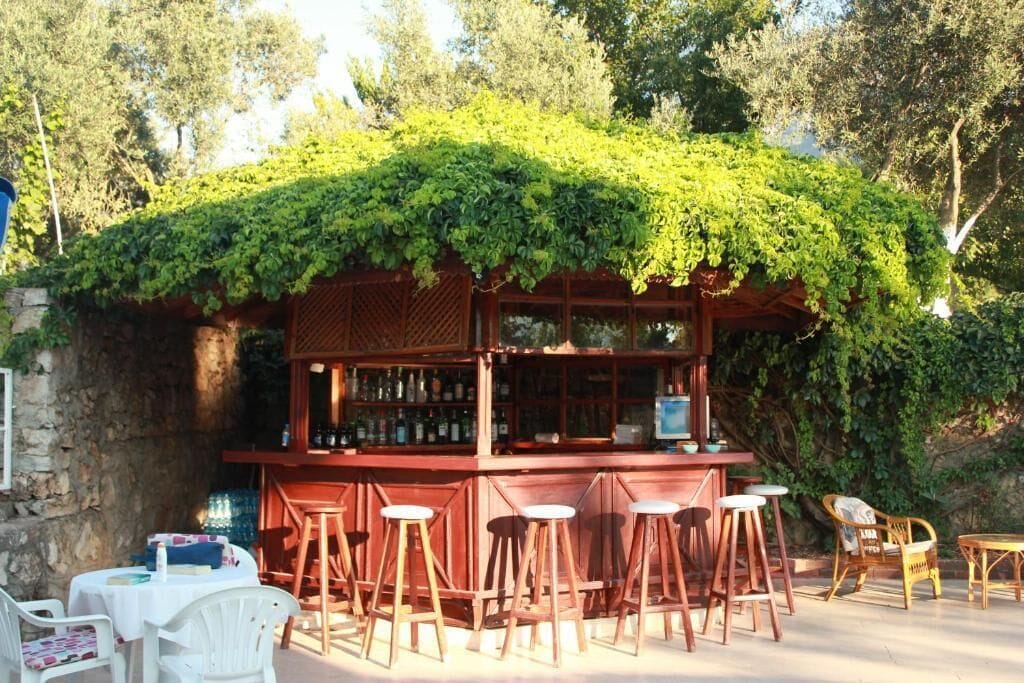 Bar (ter plaatse)
