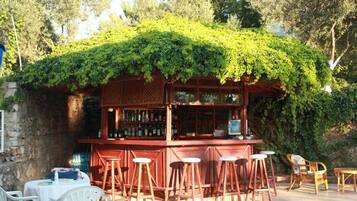 Bar (en la propiedad)