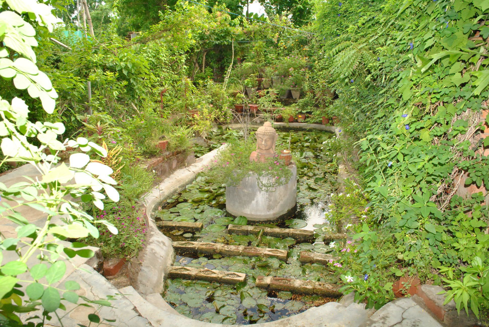 A serene garden with a Buddha statue surrounded by lush greenery and a small pond with lily pads.